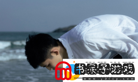 探对app下载最新