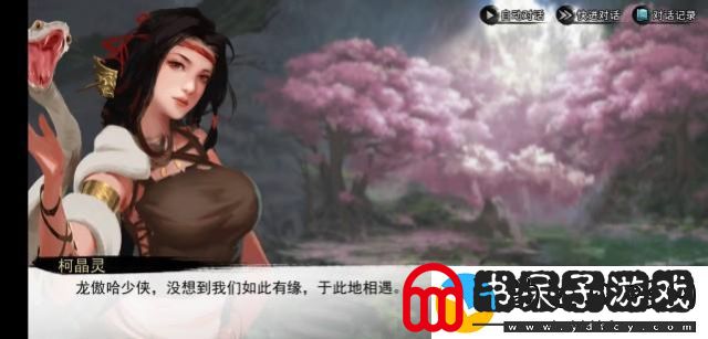 傲世龙城会员价格表