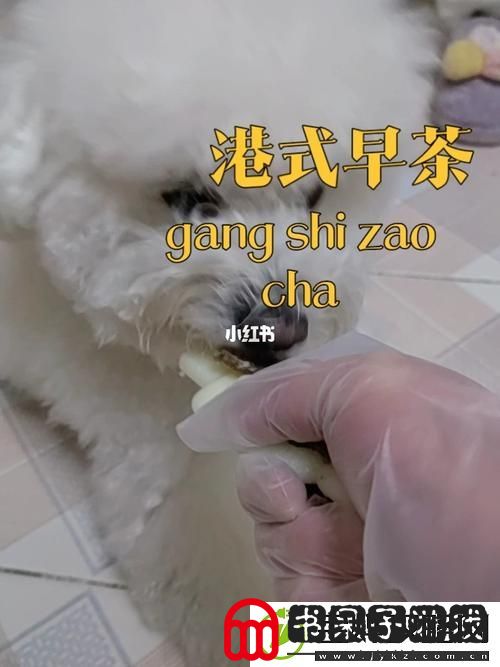 美国人与动物胶配方大全图片