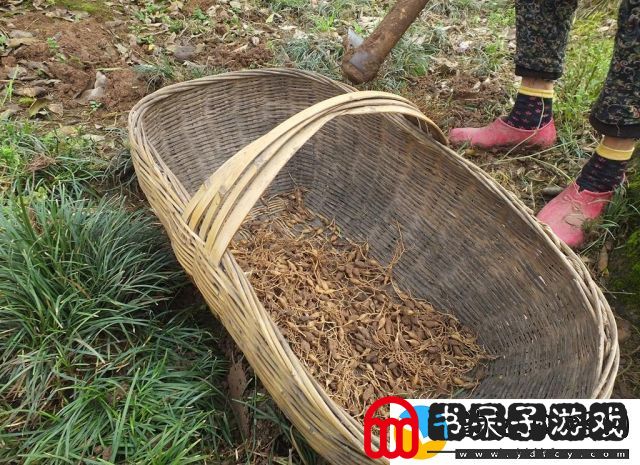 探索久草综合在线平台