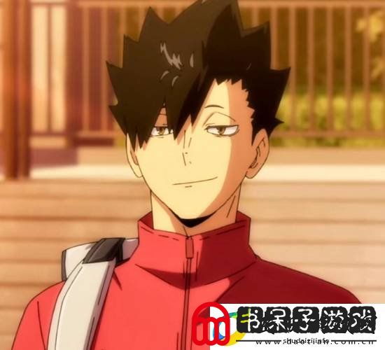 2024年P站二次元男角色投稿数TOP10